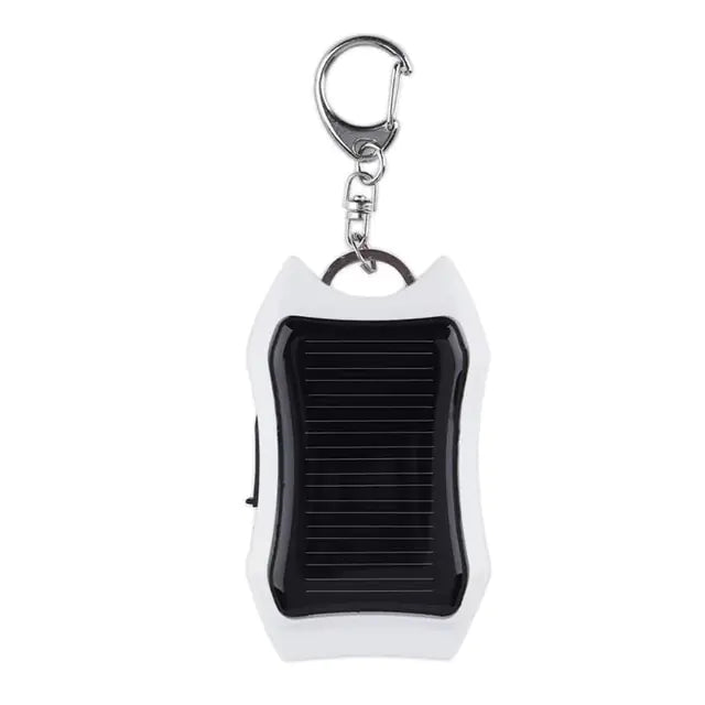 RayZoric 1200mAh Solar Keychain Power Bank